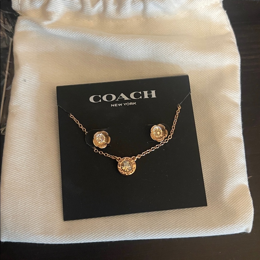 Coach Gold Necklace and Earring Set